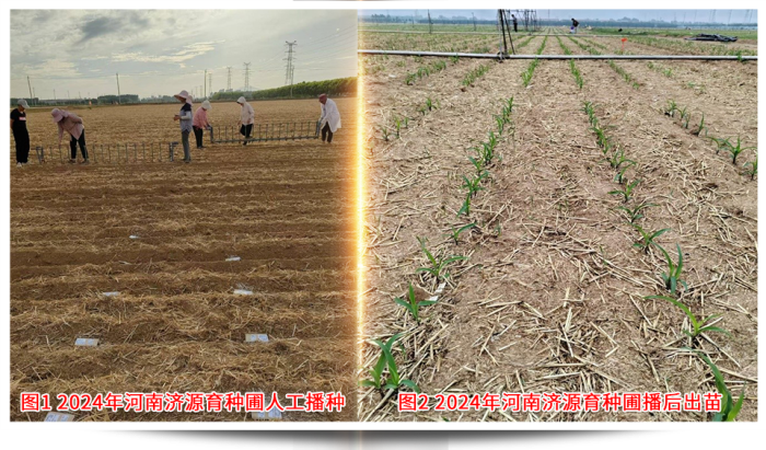 1747638809337733.png 圖片42.png