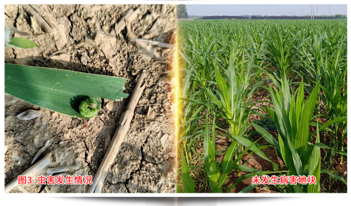 1747638828555697.png 圖片43.png